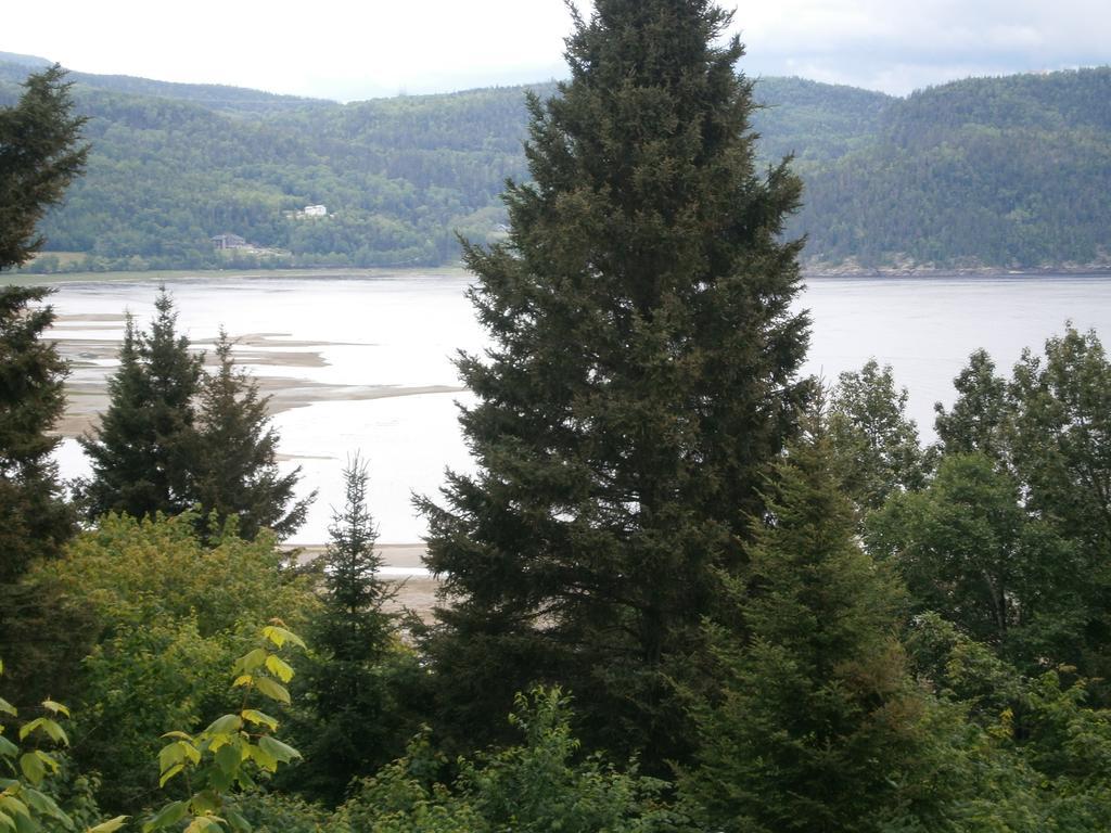 Panoramique Du Fjord Appartement LʼAnse-Saint-Jean Buitenkant foto