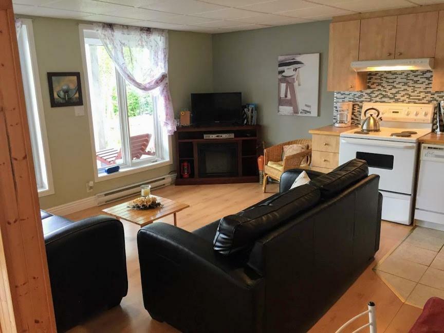 Panoramique Du Fjord Appartement LʼAnse-Saint-Jean Buitenkant foto