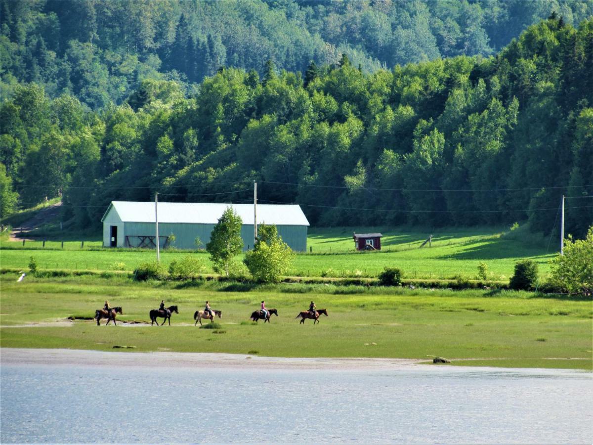 Panoramique Du Fjord Appartement LʼAnse-Saint-Jean Buitenkant foto