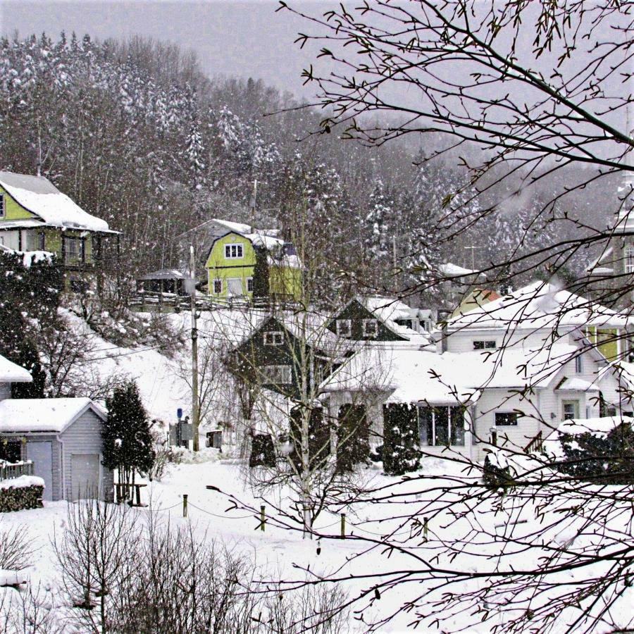 Panoramique Du Fjord Appartement LʼAnse-Saint-Jean Buitenkant foto