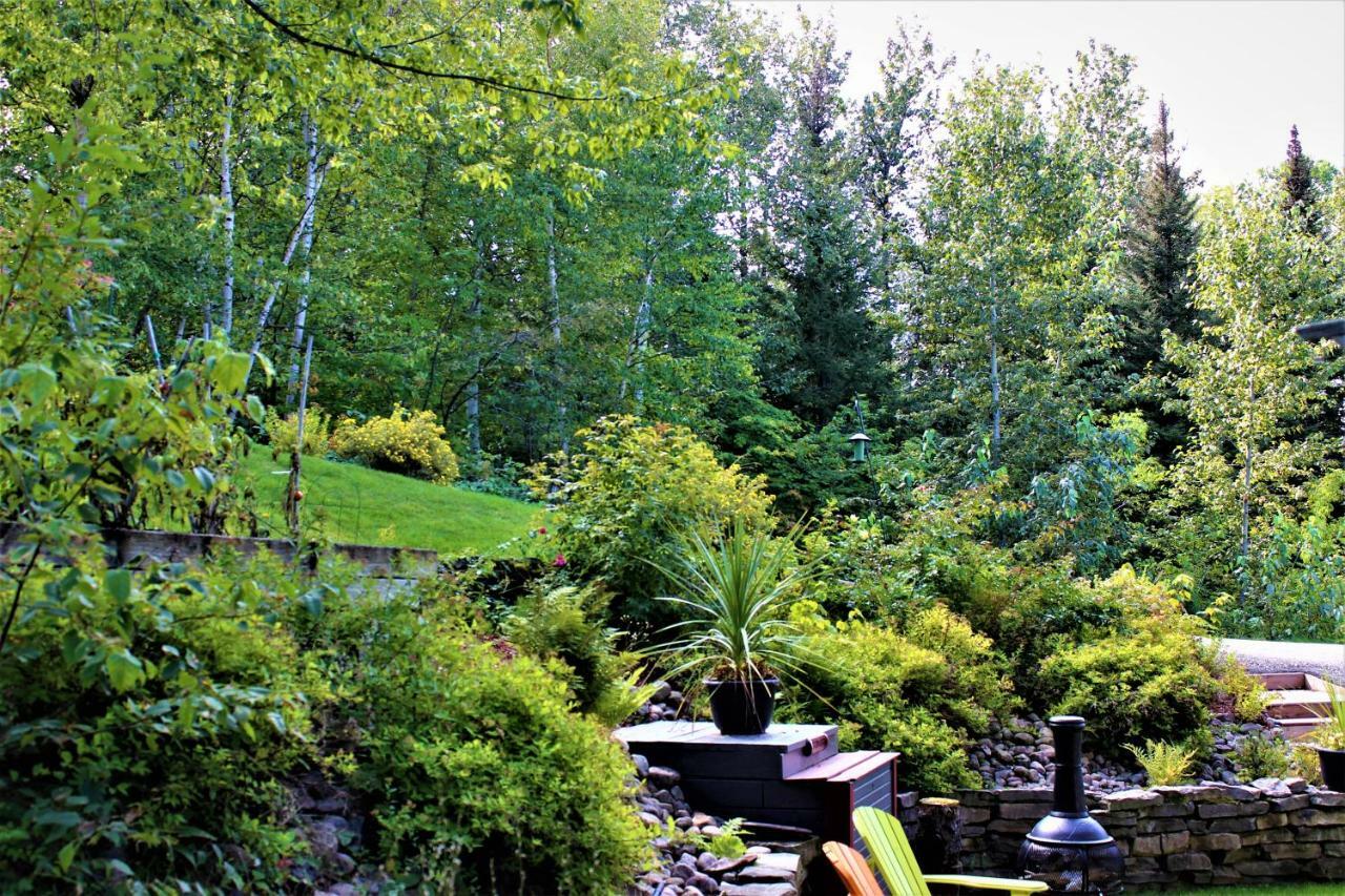 Panoramique Du Fjord Appartement LʼAnse-Saint-Jean Buitenkant foto